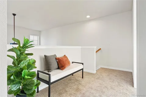 a living room with furniture and a potted plant