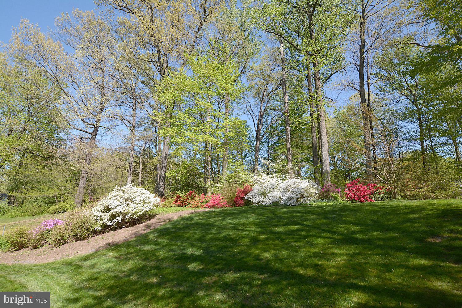 6805 Field Master Drive Springfield, VA 22153 - Photo 31 of 32