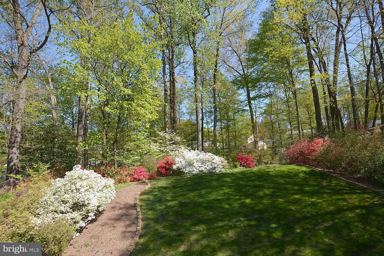 6805 Field Master Drive Springfield, VA 22153 - Photo 32 of 32