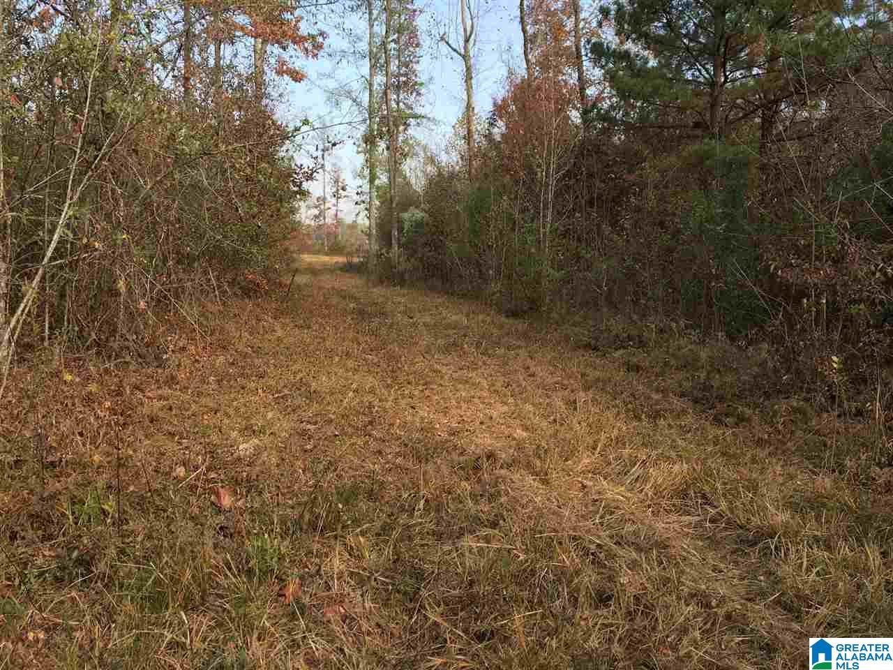 0 Wooden Trace Circle, Unit 30 Springville, AL 35146 - Photo 12 of 25