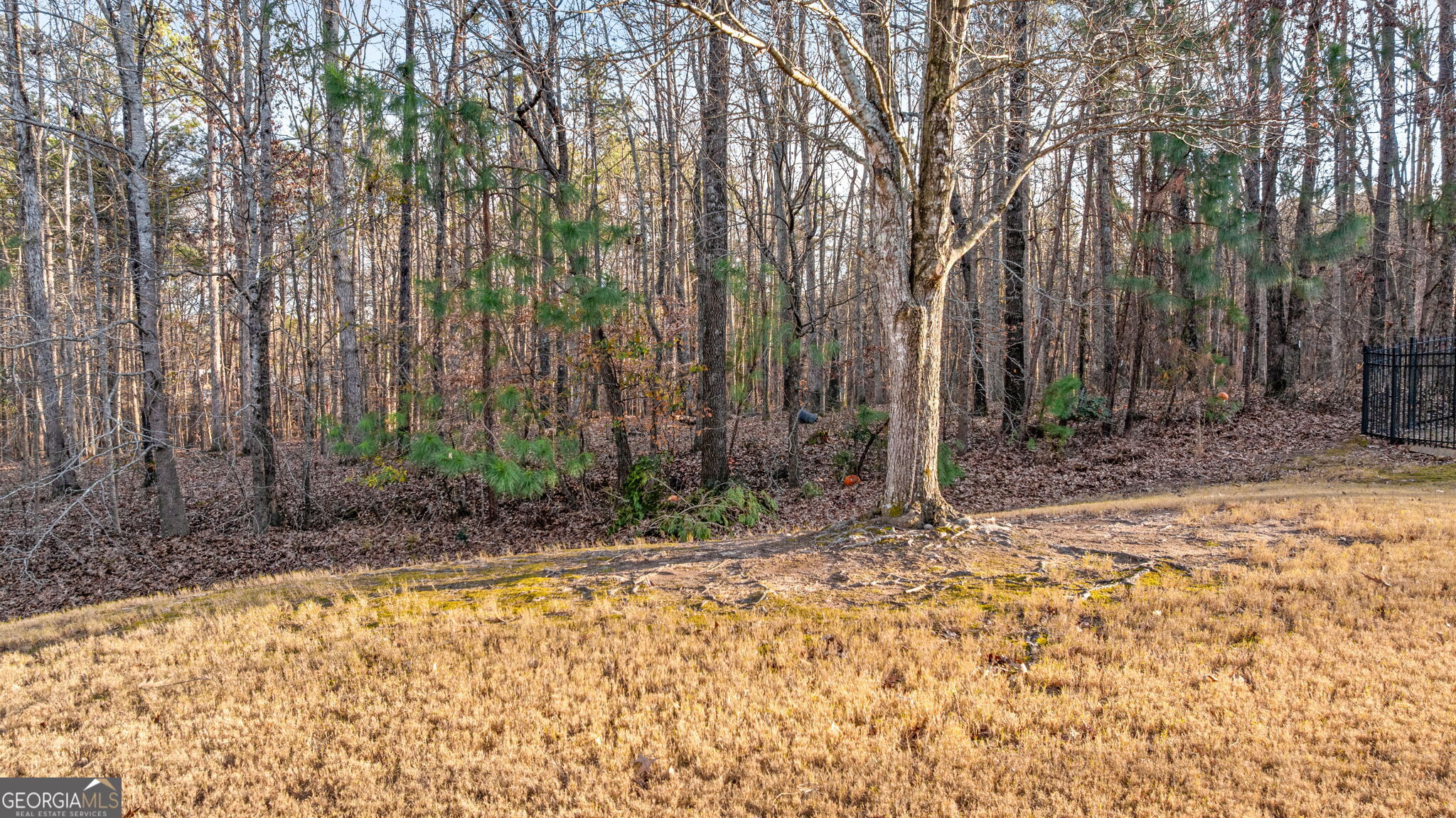 7840 Keepsake Lane Flowery Branch, GA 30542 - Photo 35 of 68