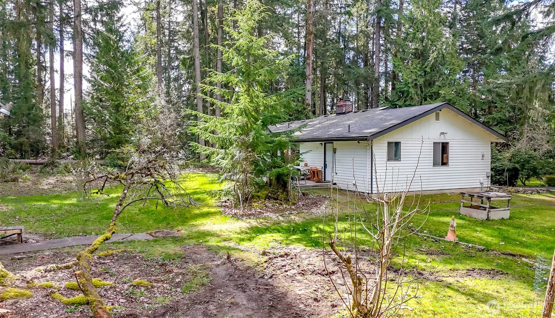 4701 292nd Street East Graham, WA 98338 - Photo 29 of 40 a view of back yard of the house