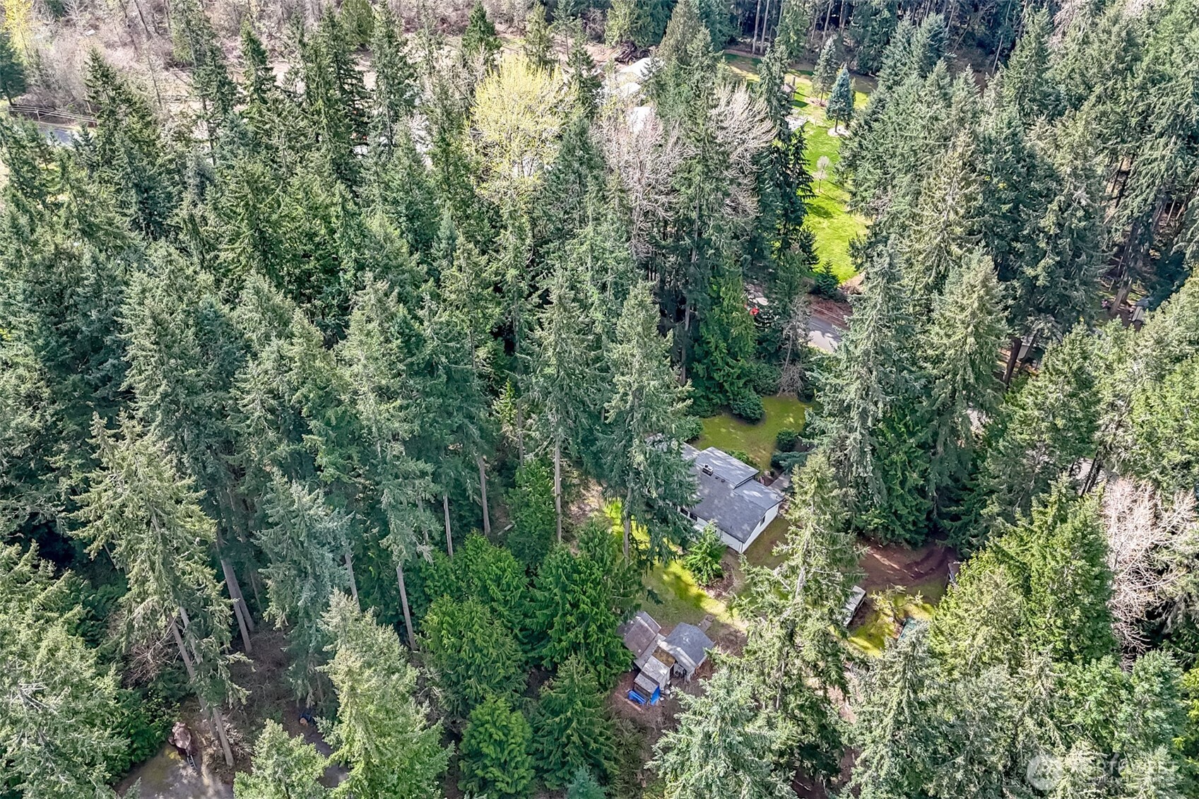 4701 292nd Street East Graham, WA 98338 - Photo 36 of 40 a view of a forest with houses
