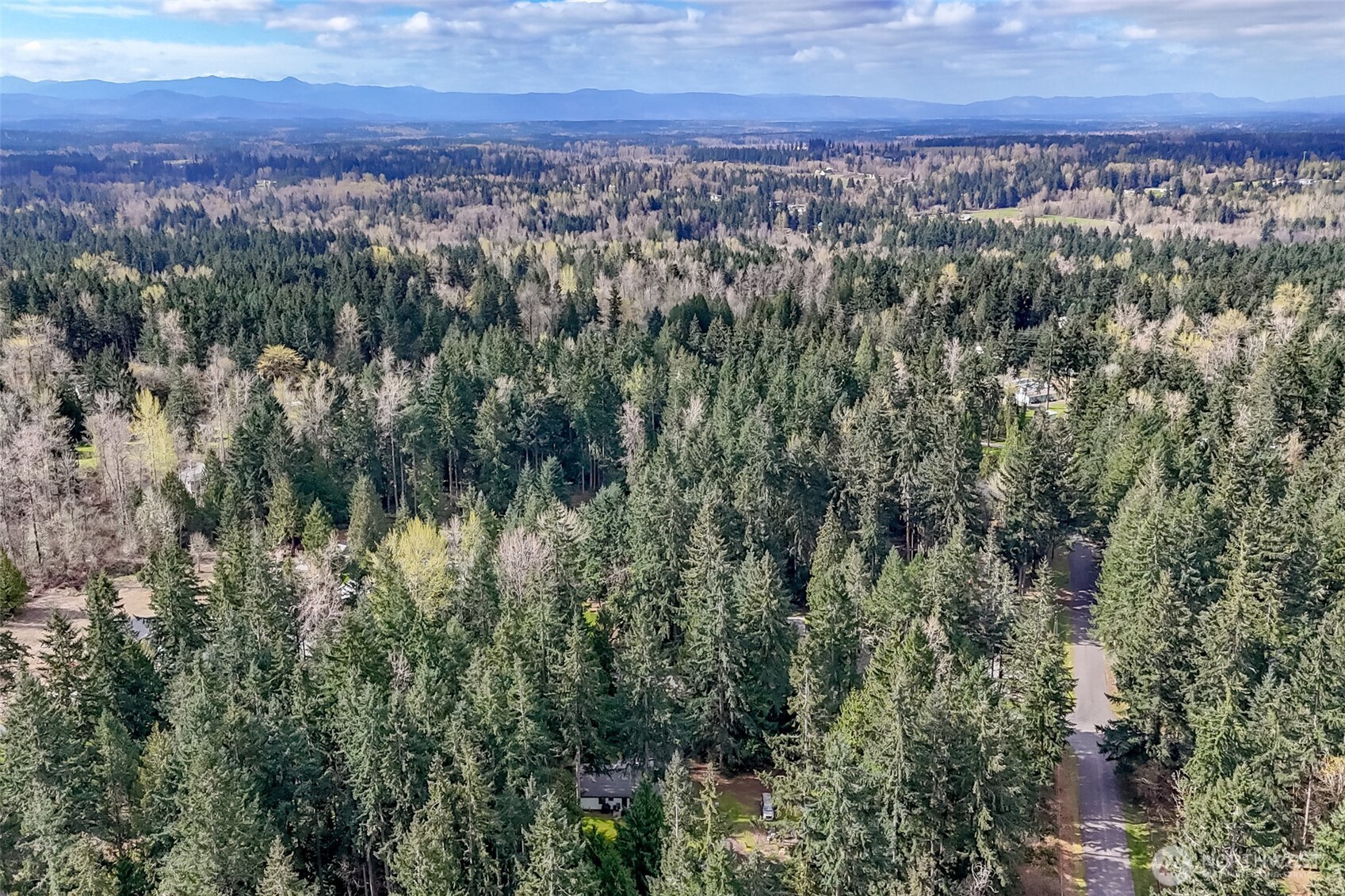 4701 292nd Street East Graham, WA 98338 - Photo 37 of 40 a view of a city with lush green forest