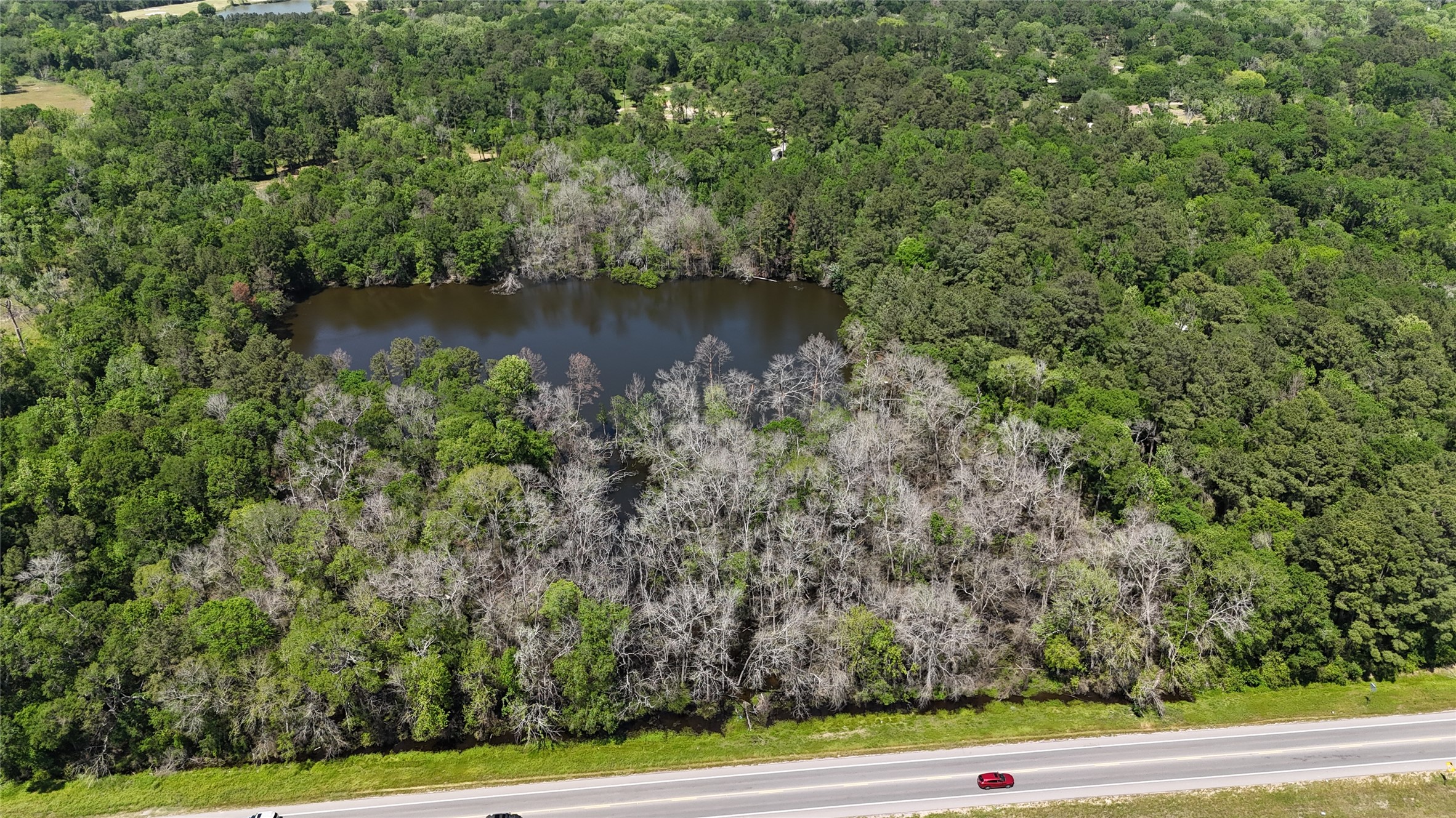 211 Garden West Conroe, TX 77304 - Photo 34 of 35 FM 2854 runs behind the pond.