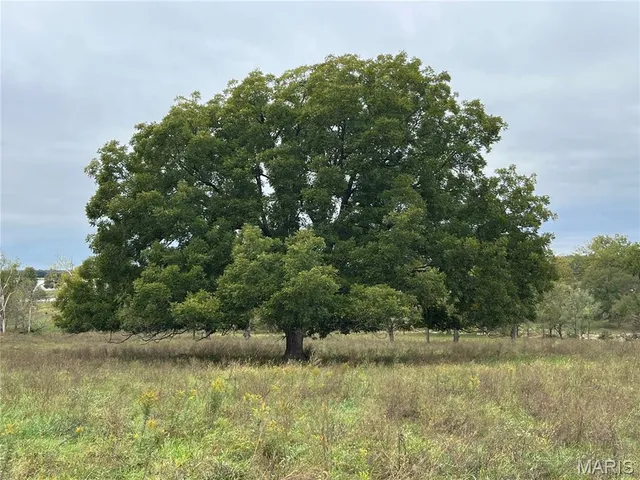 $1,254,000 | 0 Hwy D Eolia Mo 63344, Eolia, MO 63344