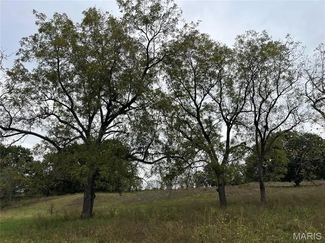 $1,254,000 | 0 Hwy D Eolia Mo 63344, Eolia, MO 63344