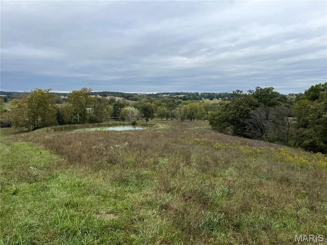 $1,254,000 | 0 Hwy D Eolia Mo 63344, Eolia, MO 63344