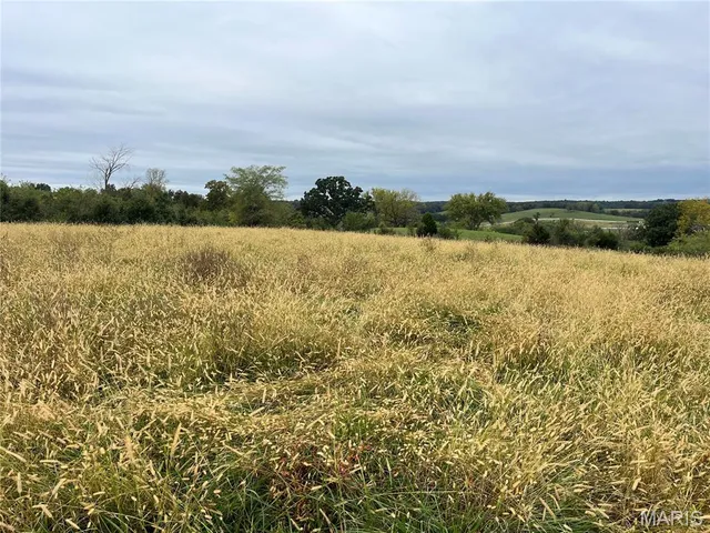 $1,254,000 | 0 Hwy D Eolia Mo 63344, Eolia, MO 63344