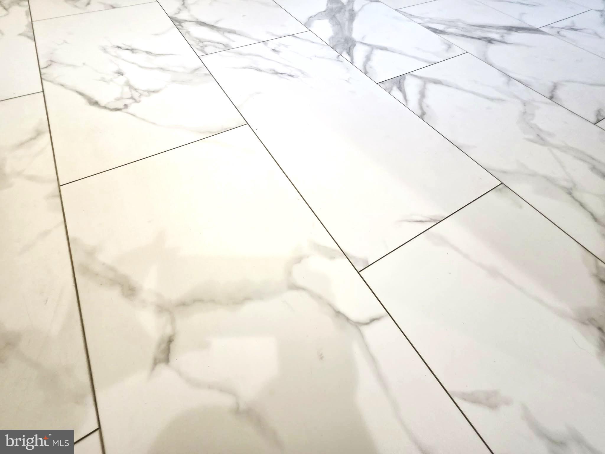 29325 West Line Road Delmar, MD 21875 - Photo 34 of 46