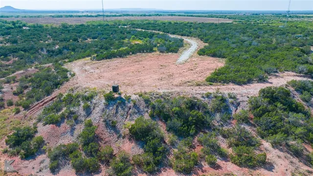 a view of a dry yard with lots of green space