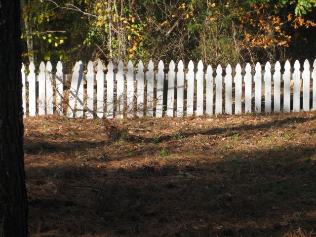 5561 Broad Ck Road Washington, NC 27889 - Photo 13 of 16 Additional Photo