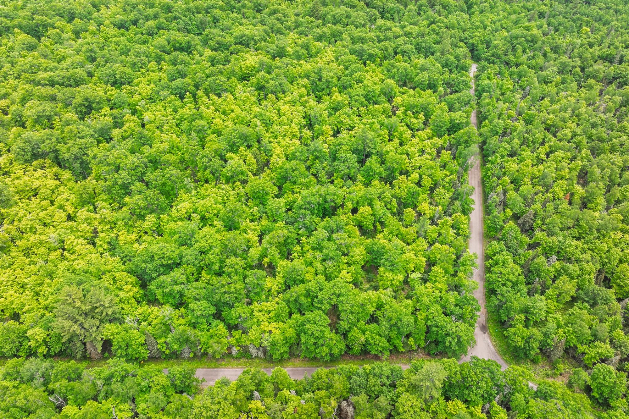 Lot 2 South Shore Road Phelps, WI 54554 - Photo 13 of 16 Gallery Image 13