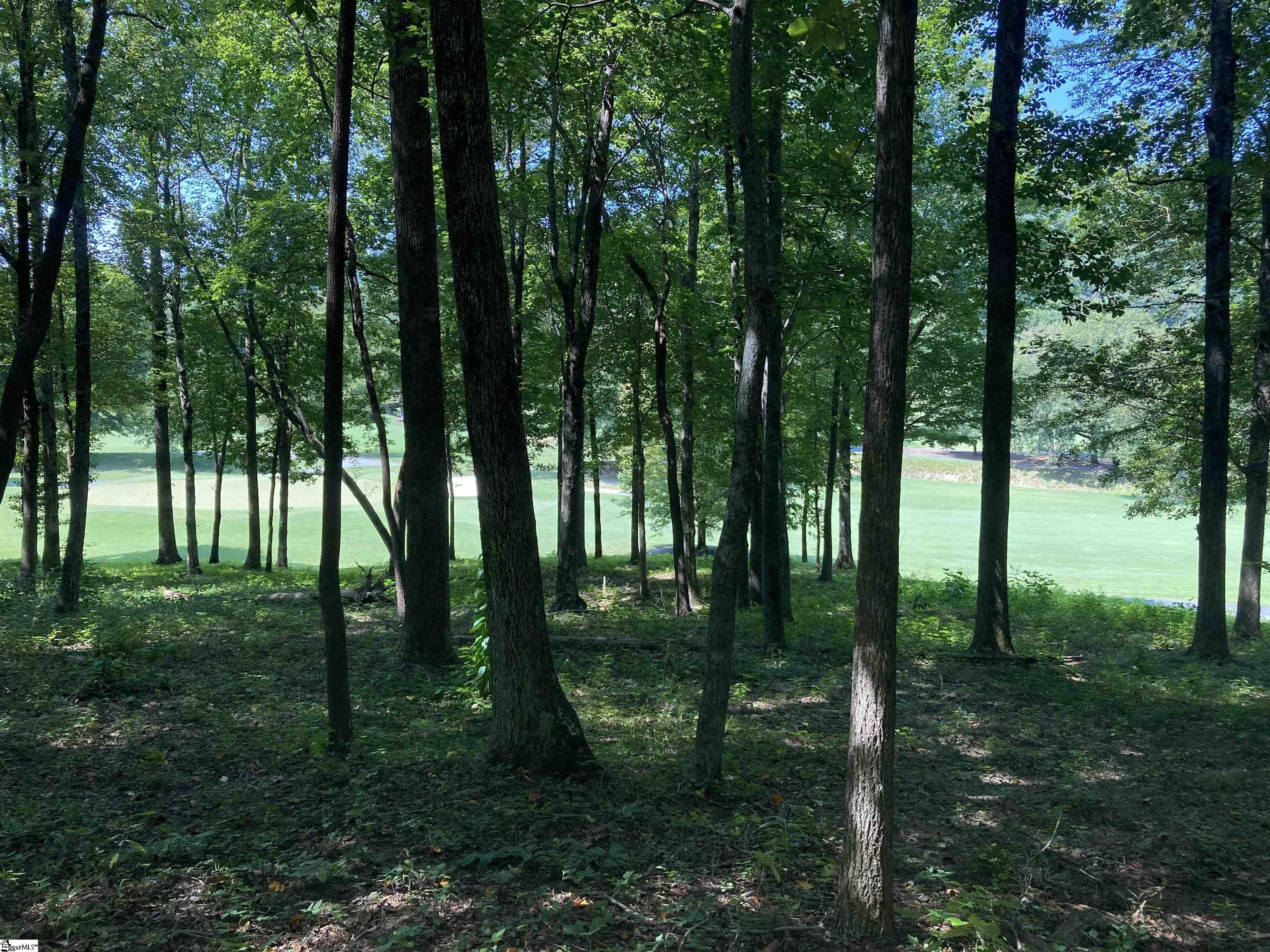 113 Foxboro Road Travelers Rest, SC 29690 - Photo 1 of 6