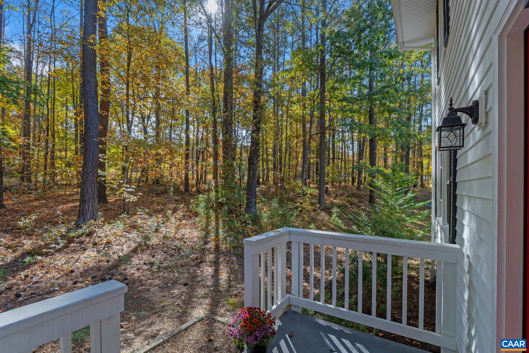 3328 Martin Kings Road Charlottesville, VA 22902 - Photo 32 of 46 Gallery Image 32