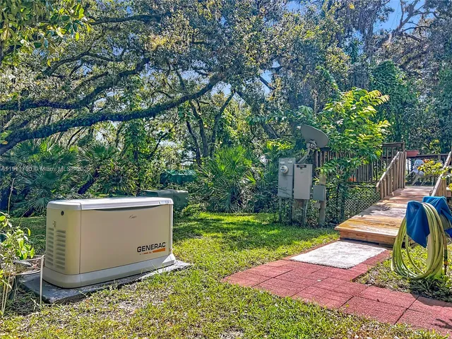 a view of a trees in a yard