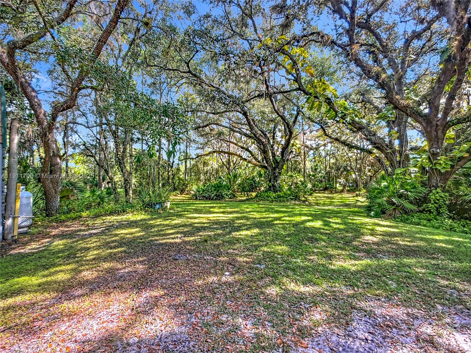 1432 Silver Lake Road LaBelle, FL 33935 - Photo 28 of 39 a view of a trees in a yard
