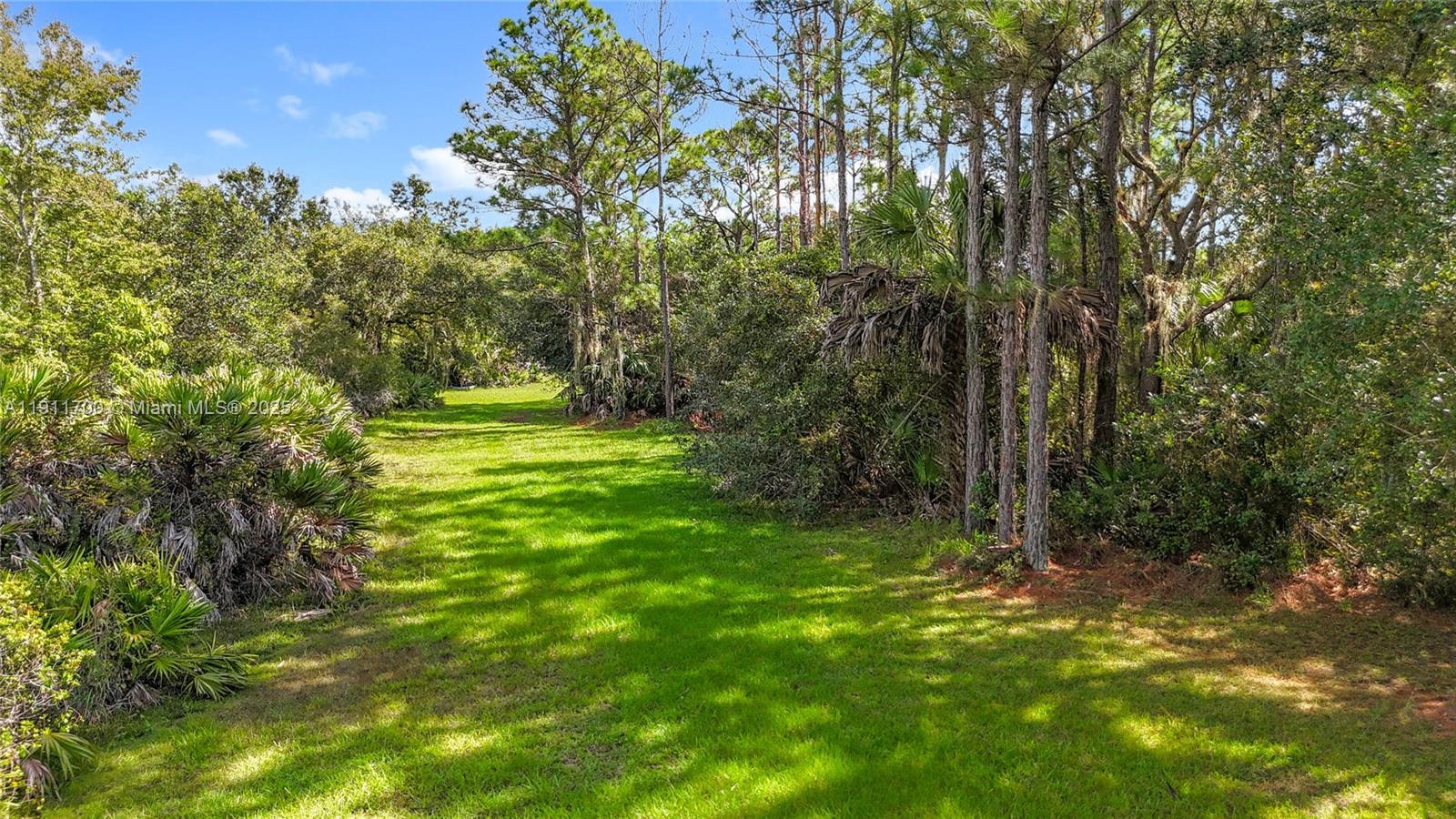 1432 Silver Lake Road LaBelle, FL 33935 - Photo 38 of 39 a view of a field with a tree