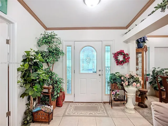 a potted plant sitting in front of a house