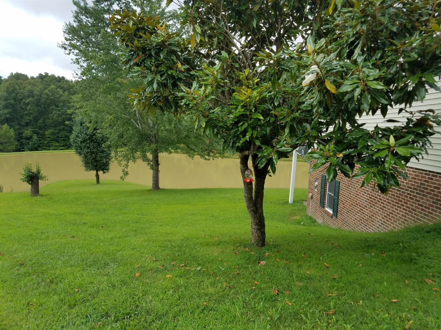 2369 Mitchellsburg Knob Road Parksville, KY 40464 - Photo 9 of 88 Photo 9