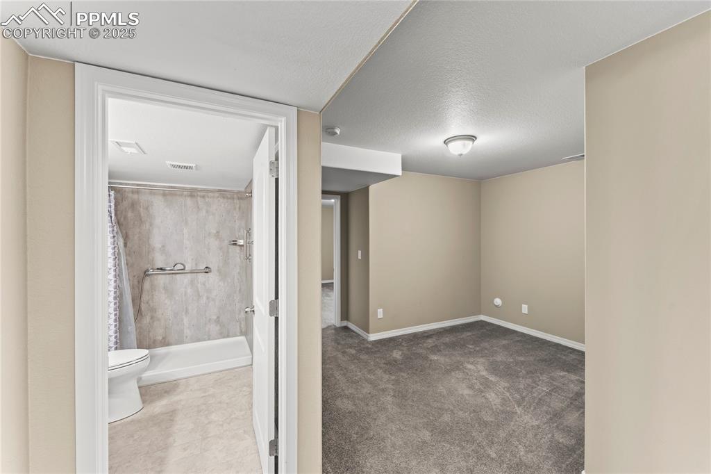 6208 Ashmore Road Colorado Springs, CO 80927 - Photo 33 of 50 Basement featuring a textured ceiling and carpet