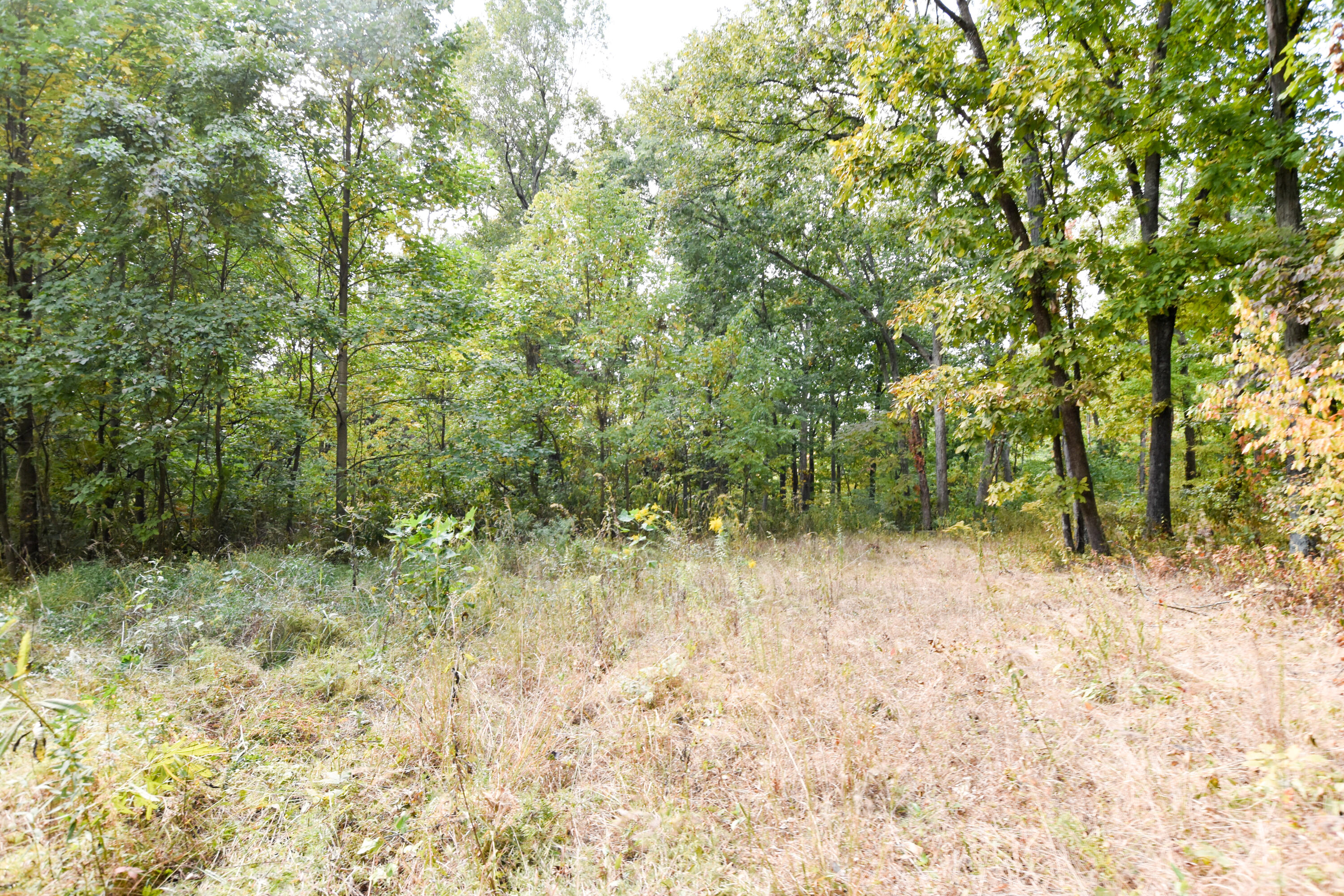 2390 Beechy Creek Road Wallingford, KY 41093 - Photo 55 of 89 DSC_0117