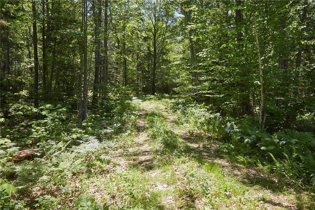0 Heath Road Bremen, ME 04551 - Photo 7 of 17 Photo