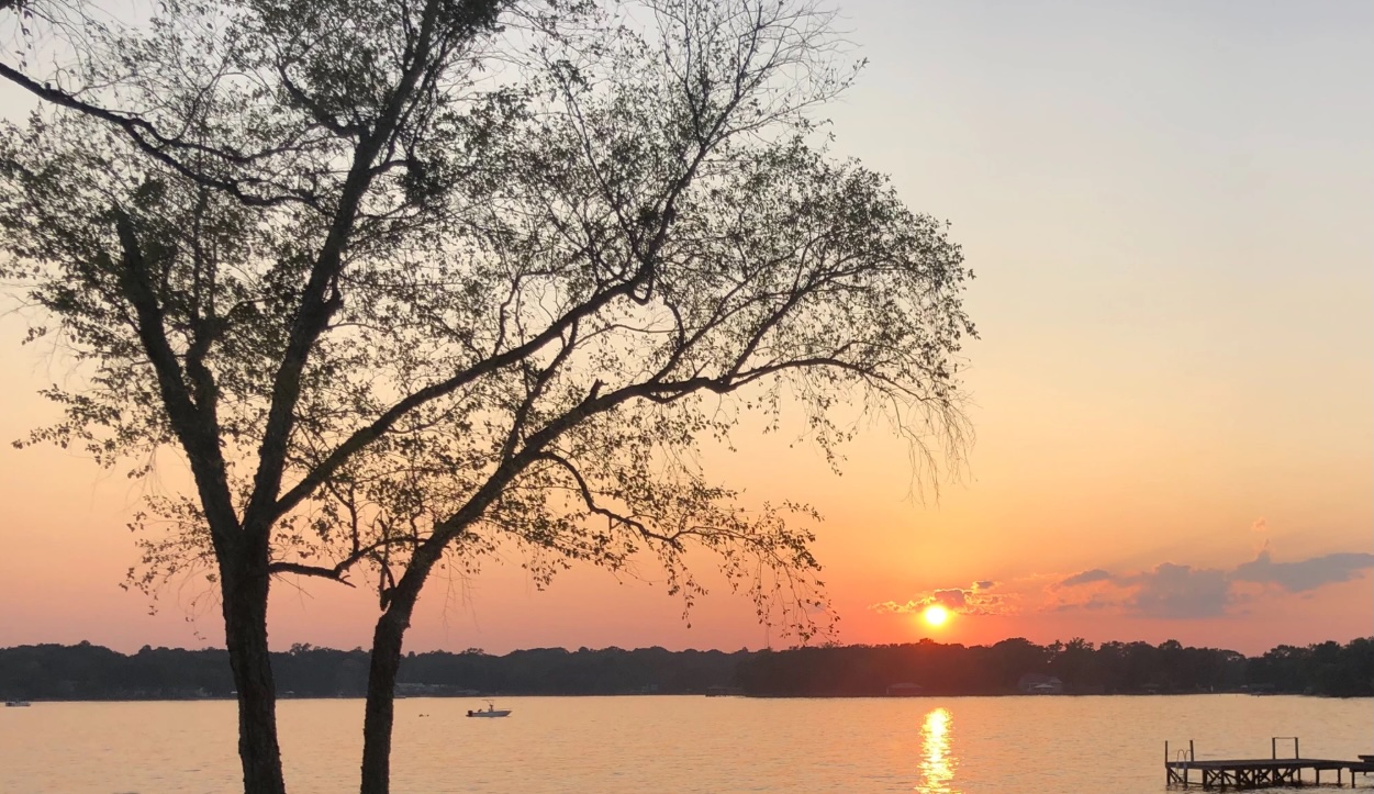 Tbd Whipporwill Drive Murchison, TX 75778 - Photo 2 of 4 a view of lake with lots of trees