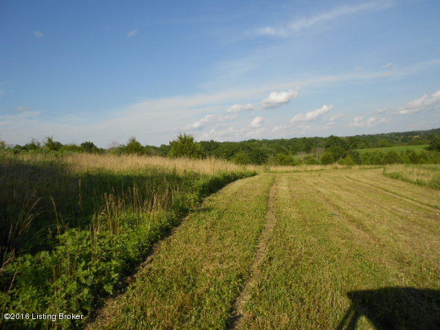 DSCN0513
