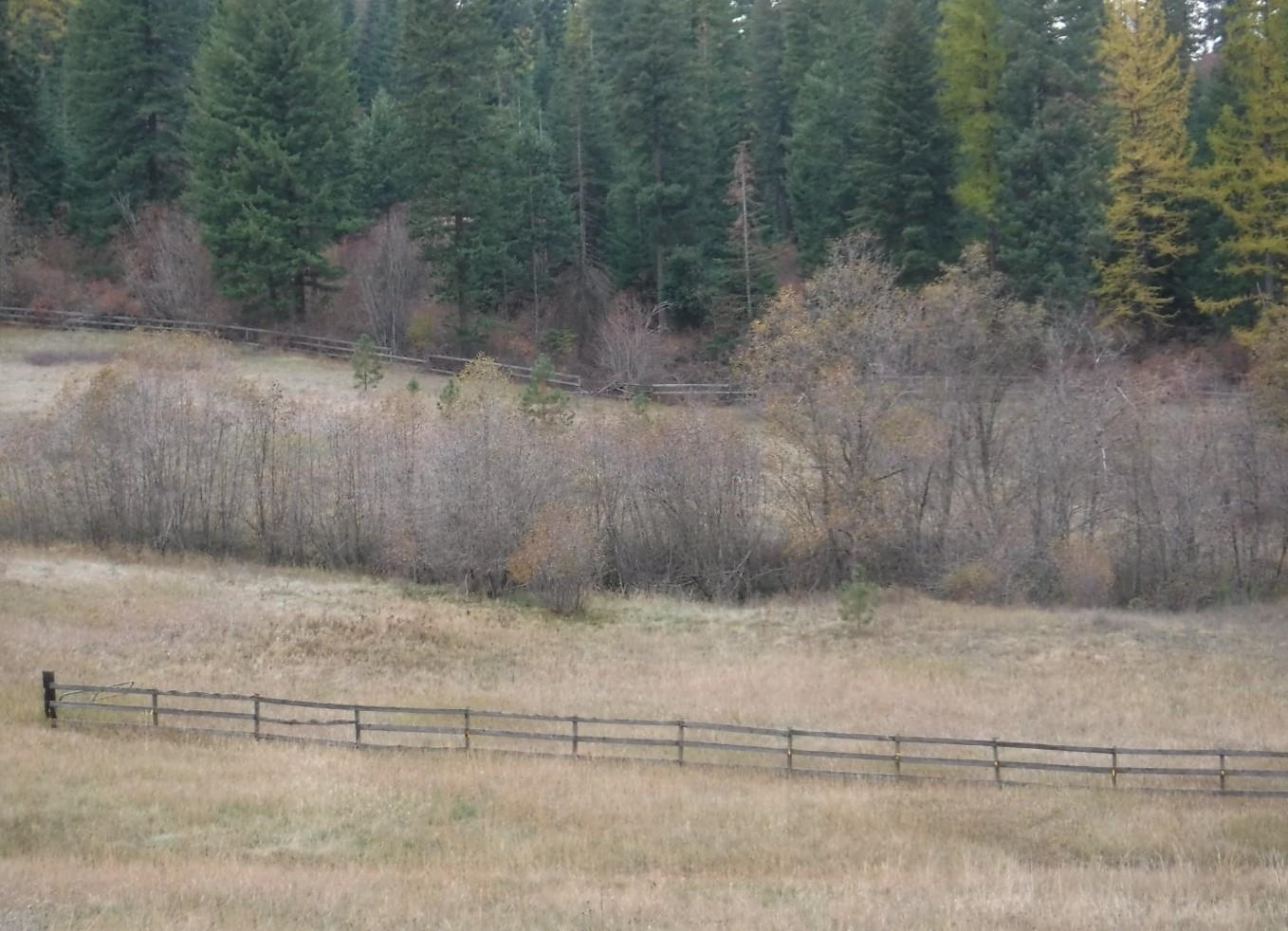 Xx Xx Mountain Mead, WA 99021 - Photo 2 of 10 Gallery Image 2