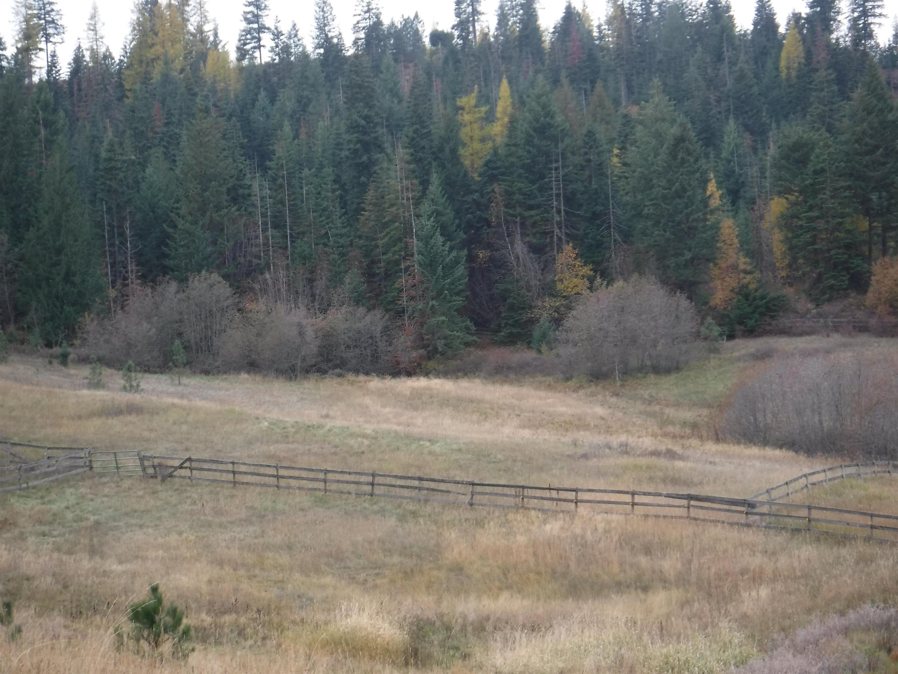 Xx Xx Mountain Mead, WA 99021 - Photo 10 of 10 Gallery Image 10