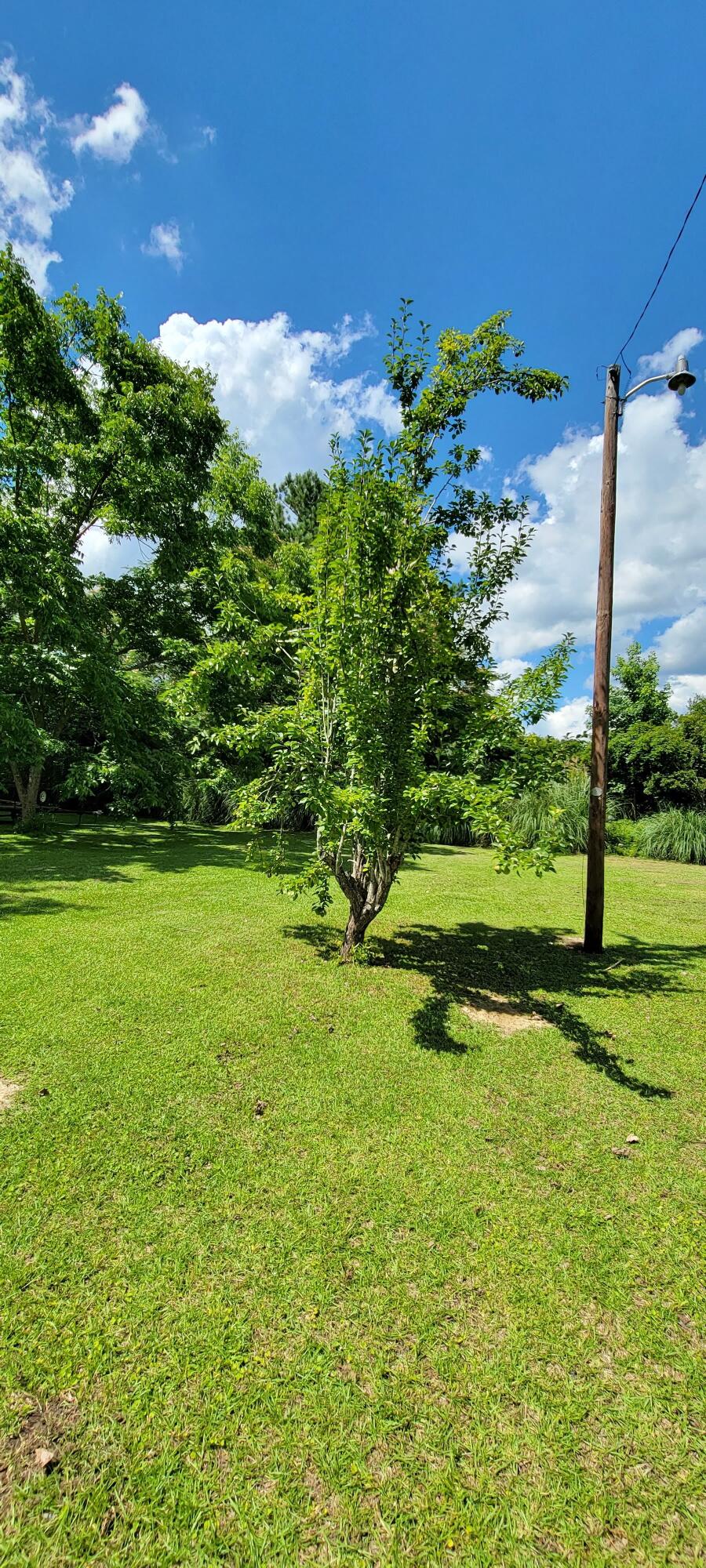 378 Bedon Road Walterboro, SC 29488 - Photo 20 of 21 378 Bedon Rd (9)