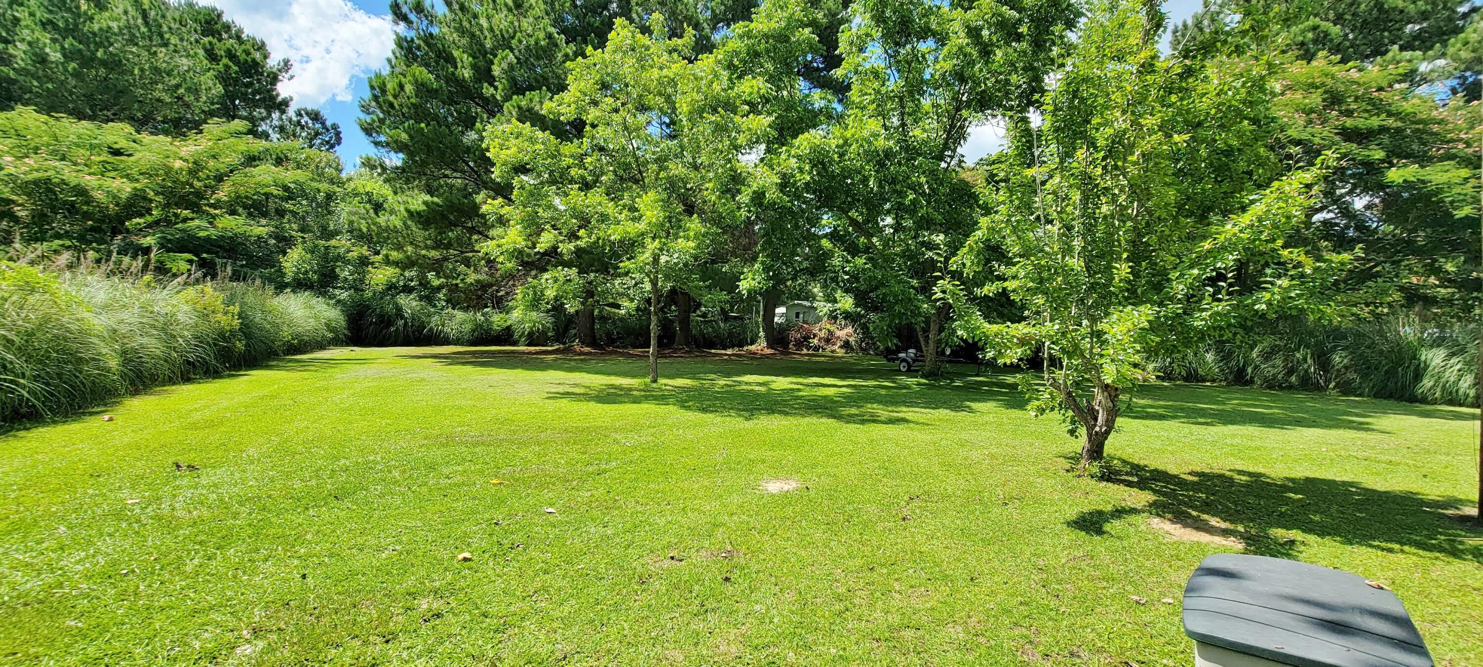 378 Bedon Road Walterboro, SC 29488 - Photo 21 of 21 378 Bedon Rd (8)