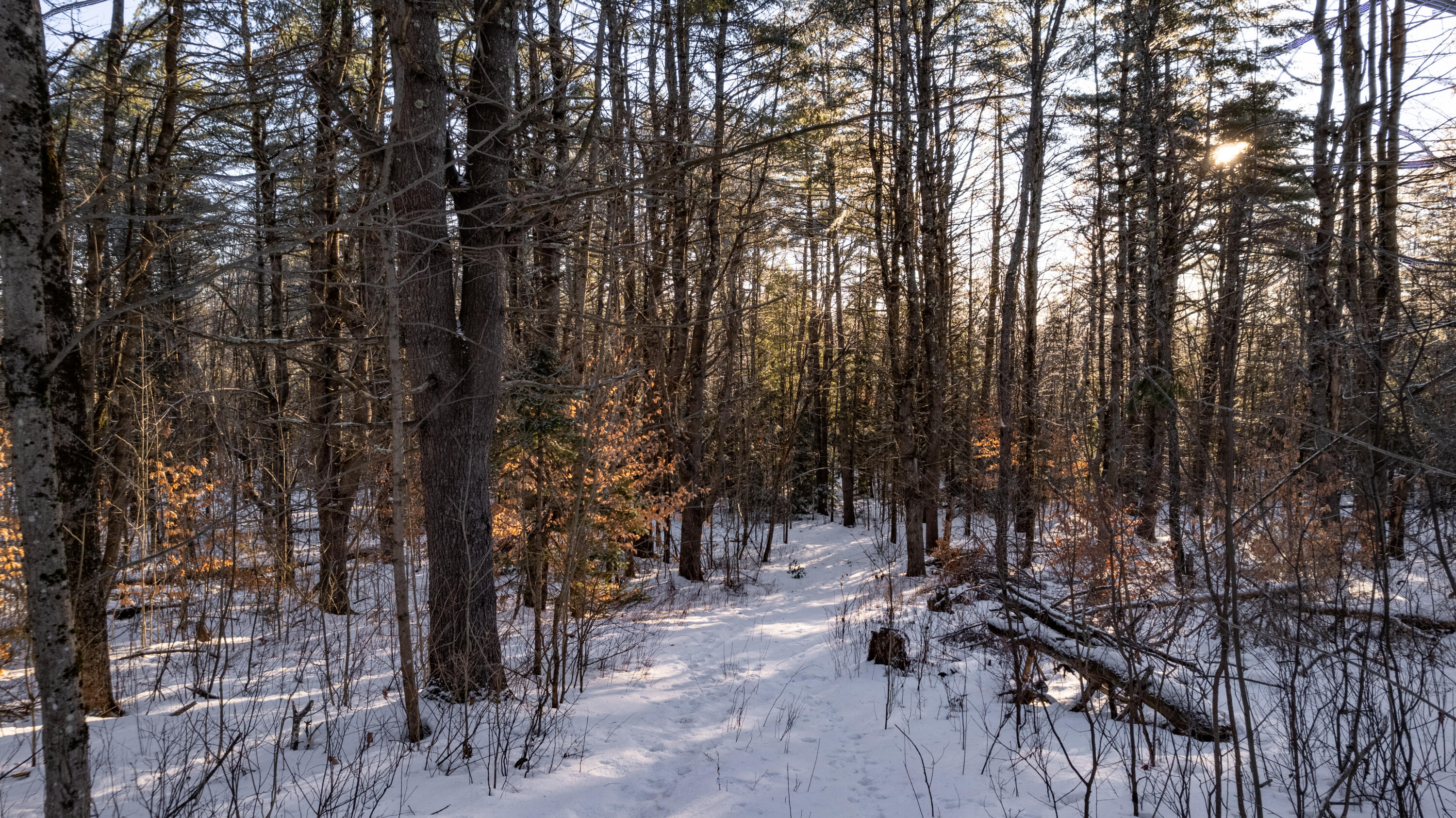 Lot 1 Church Hill Road Leeds, ME 04263 - Photo 5 of 24 373 Church Hill Leeds-22