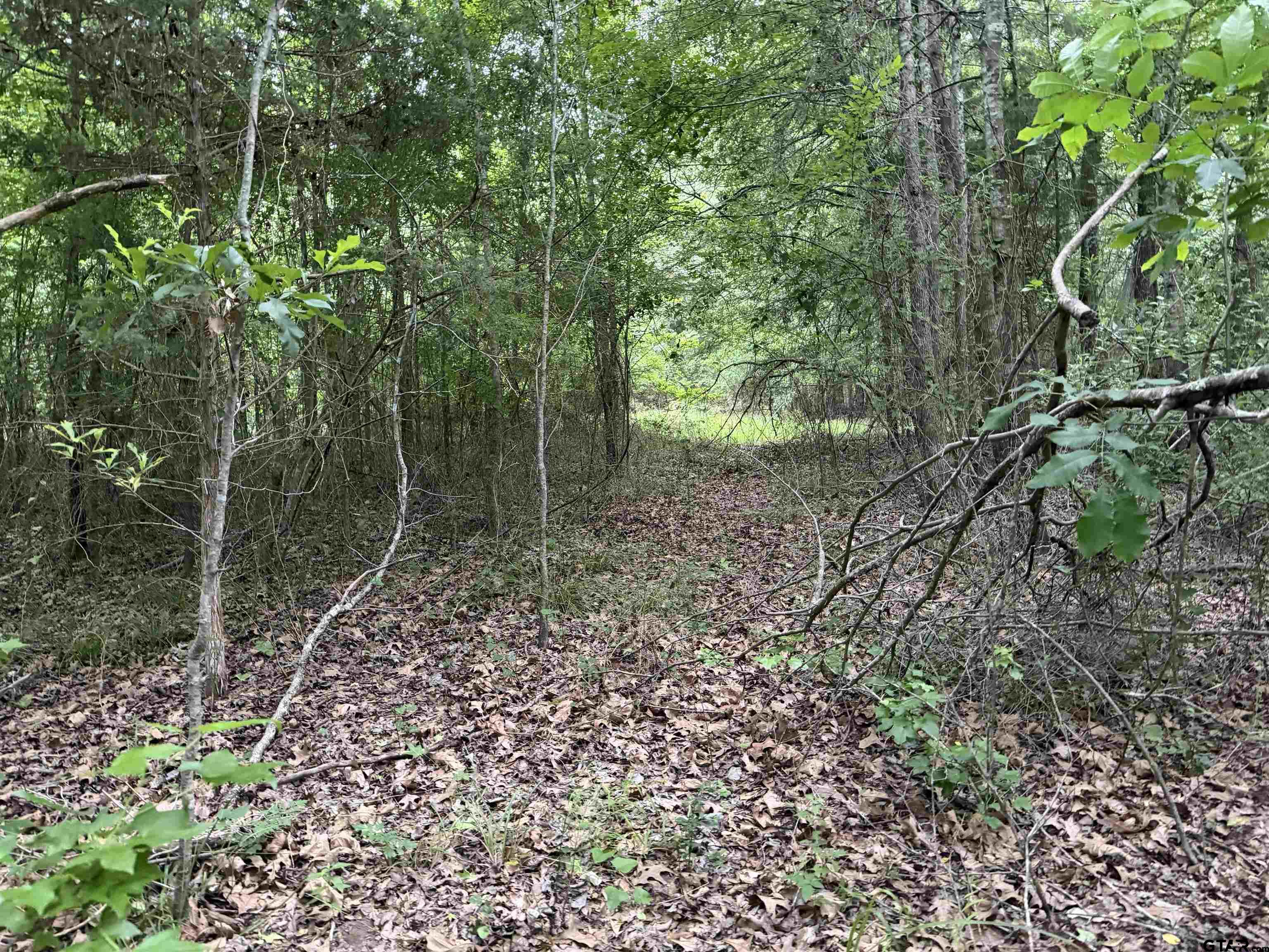 1204 County Road 1204 Rusk, TX 75785 - Photo 4 of 15