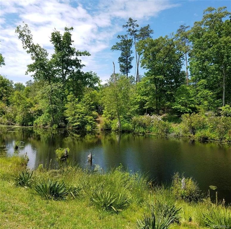 0 Meachim Cove Road Topping, VA 23169 - Photo 1 of 1 Gallery Image 1