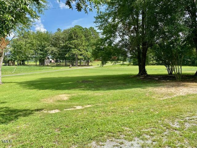 454 Mt Harmony Church Road Timberlake, NC 27583 - Photo 55 of 77 Front Yard