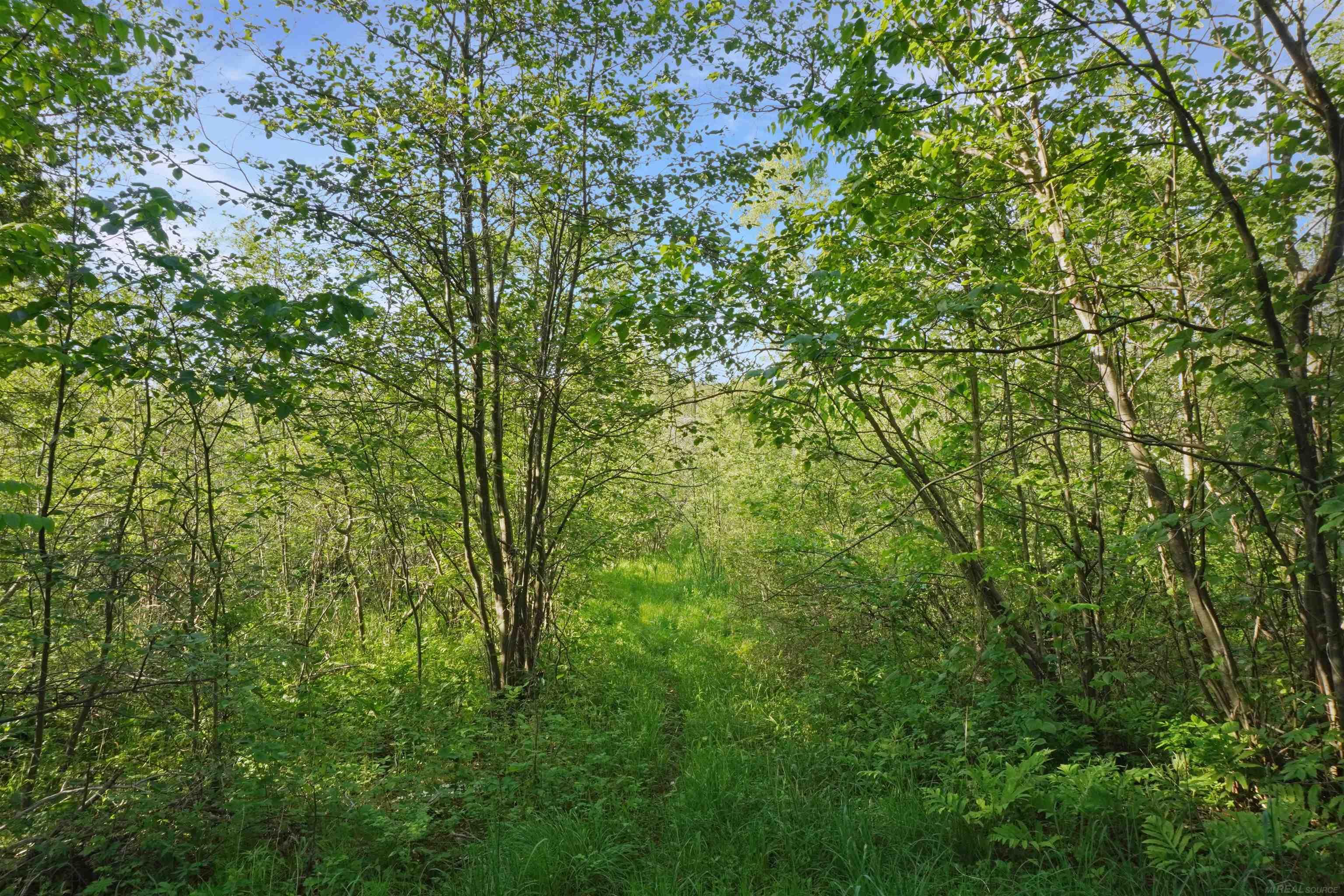 1385 North Blacks Corners Road Imlay City, MI 48444 - Photo 54 of 57