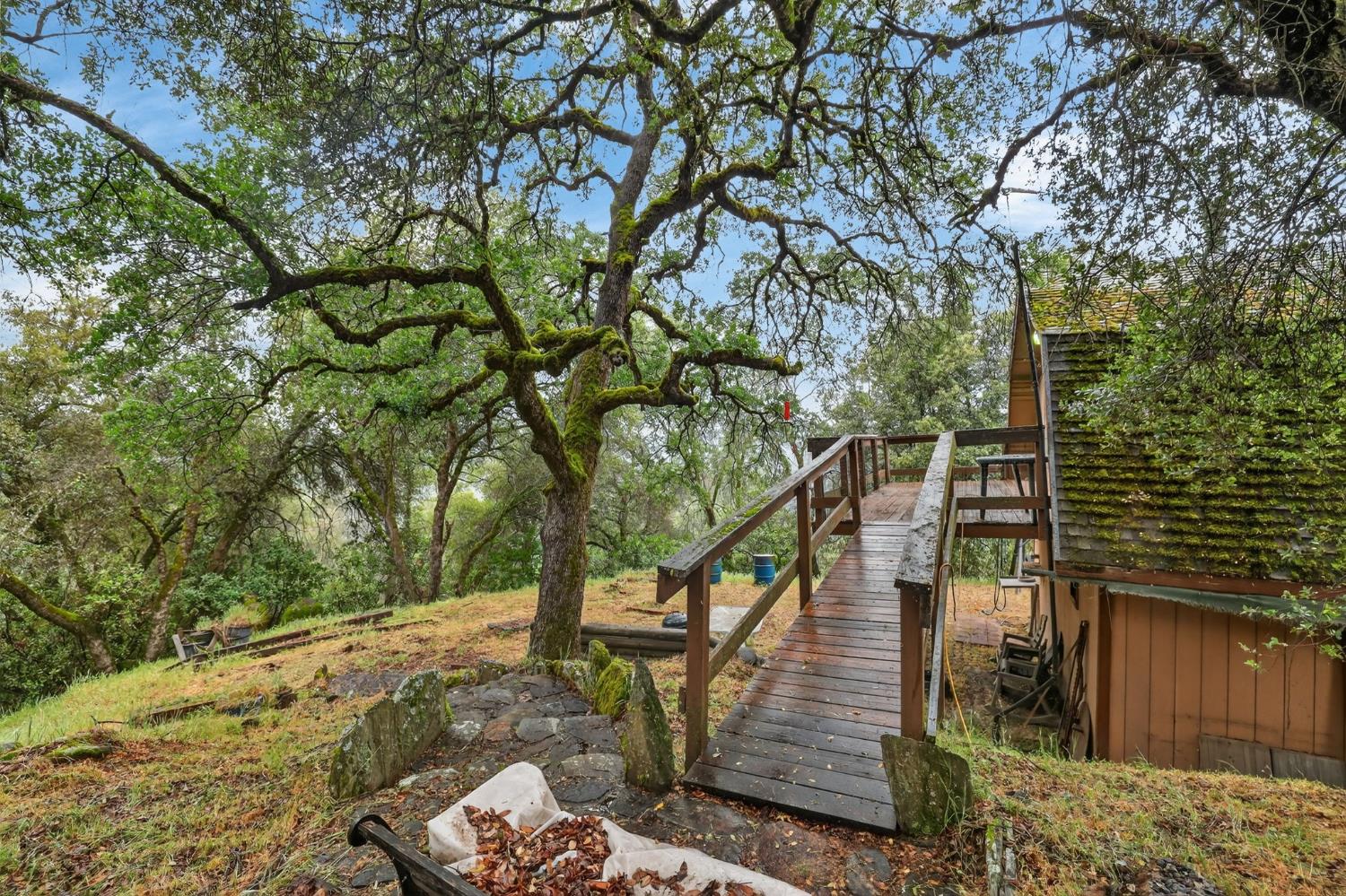 4290 Rancho Montes Drive Placerville, CA 95667 - Photo 27 of 47 a view of a house with a tree