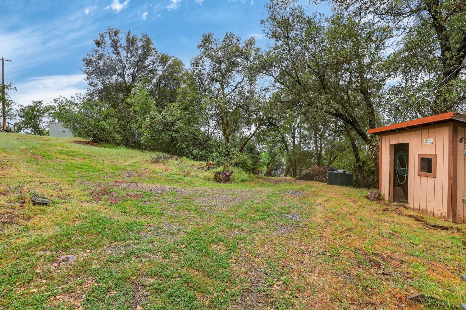 4290 Rancho Montes Drive Placerville, CA 95667 - Photo 30 of 47 a backyard of a house with lots of green space