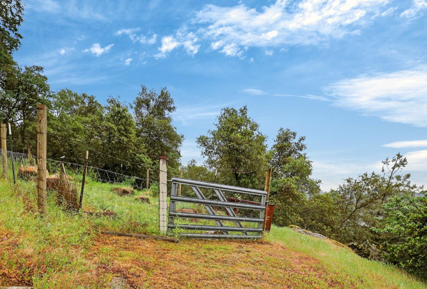 4290 Rancho Montes Drive Placerville, CA 95667 - Photo 32 of 47 a view of a garden