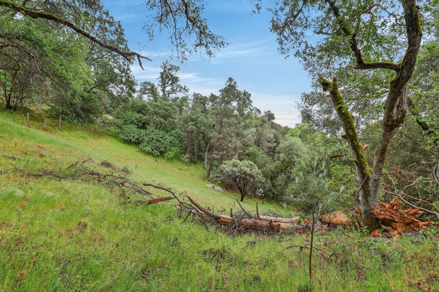 4290 Rancho Montes Drive Placerville, CA 95667 - Photo 36 of 47 a view of a lake with a yard