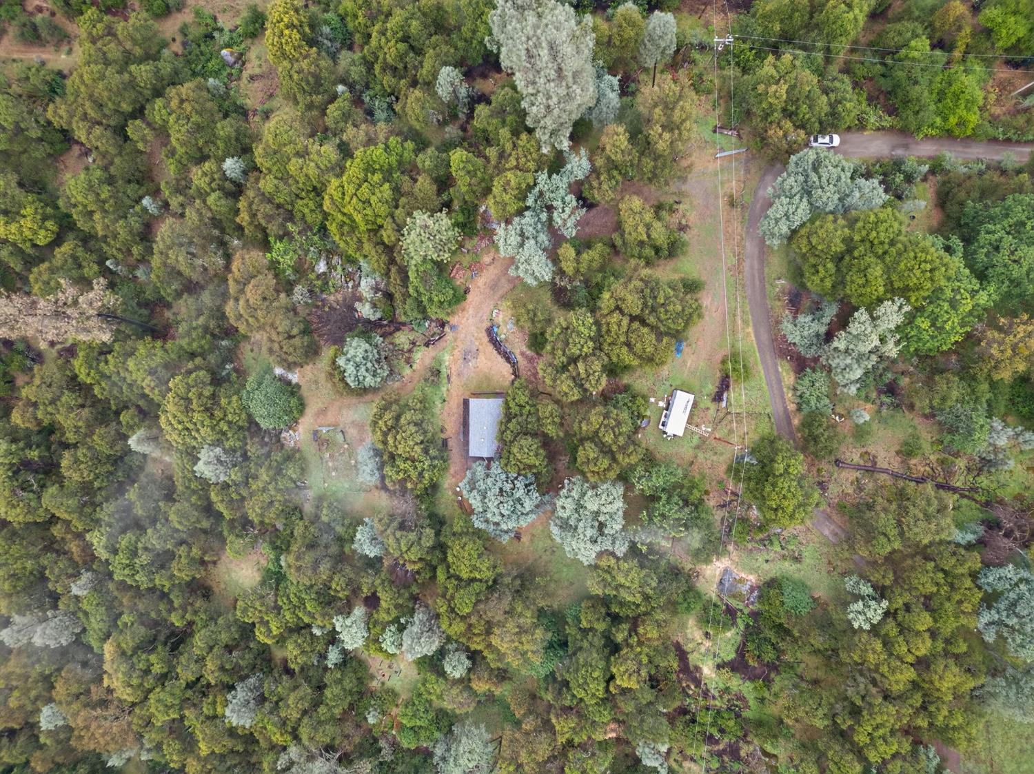 4290 Rancho Montes Drive Placerville, CA 95667 - Photo 42 of 47 an aerial view of residential houses with outdoor space and trees