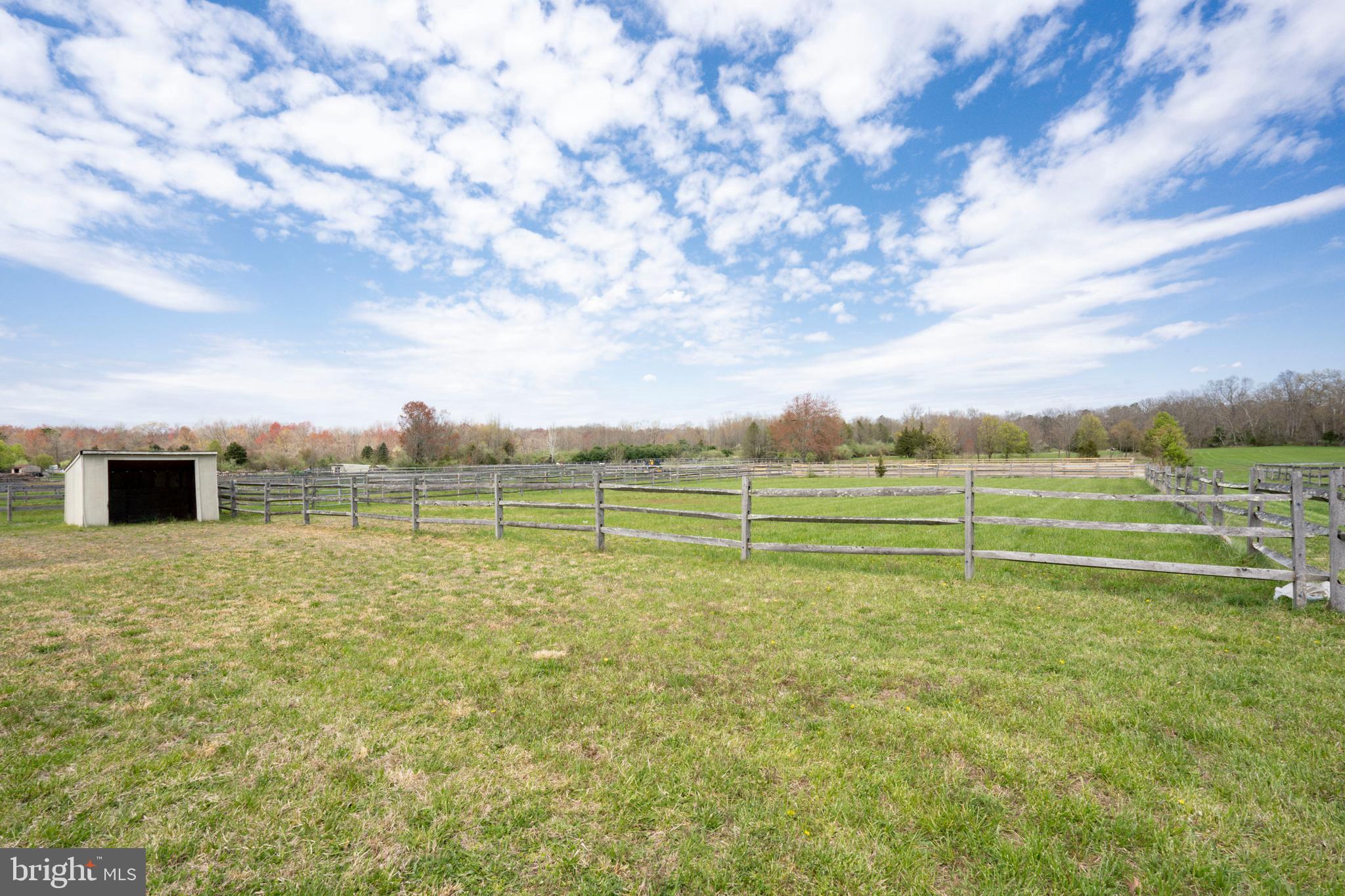 377 Forked Neck Road Shamong, NJ 08088 - Photo 53 of 58