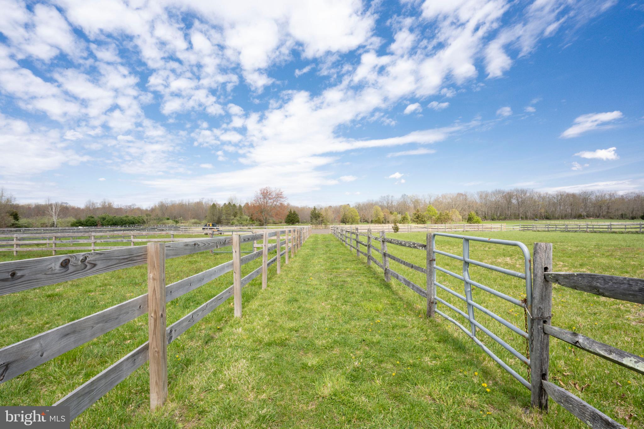 377 Forked Neck Road Shamong, NJ 08088 - Photo 54 of 58