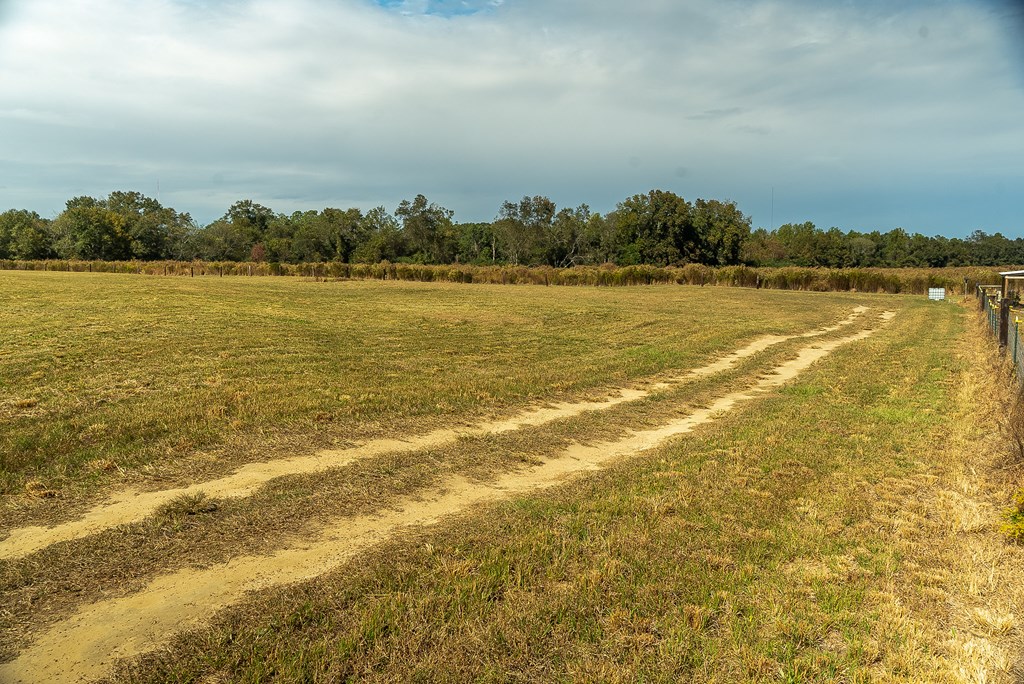 0 J B J B Jackson Road Webb, AL 36376 - Photo 25 of 38