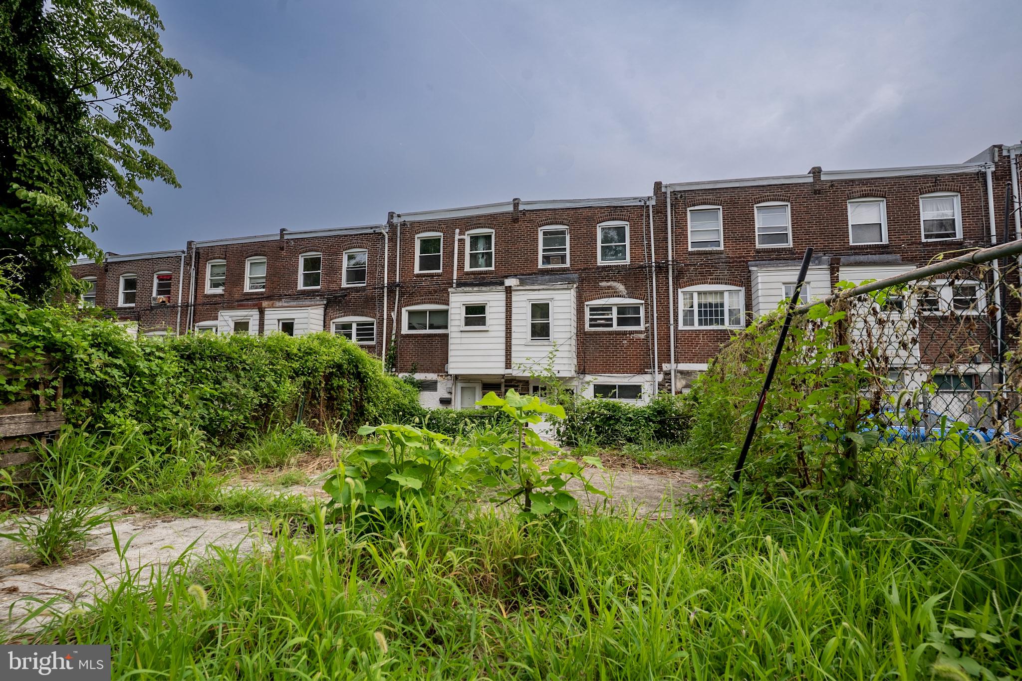 135 Greenwood Road Sharon Hill, PA 19079 - Photo 20 of 20 Urban Oasis: Overgrown Serenity Awaits
