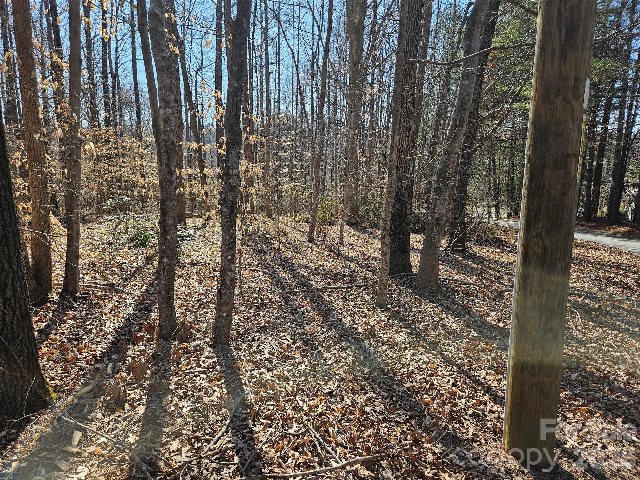 0 General Griffith Circle, Unit 37 Rutherfordton, NC 28139 - Photo 2 of 8 a view of a outdoor space