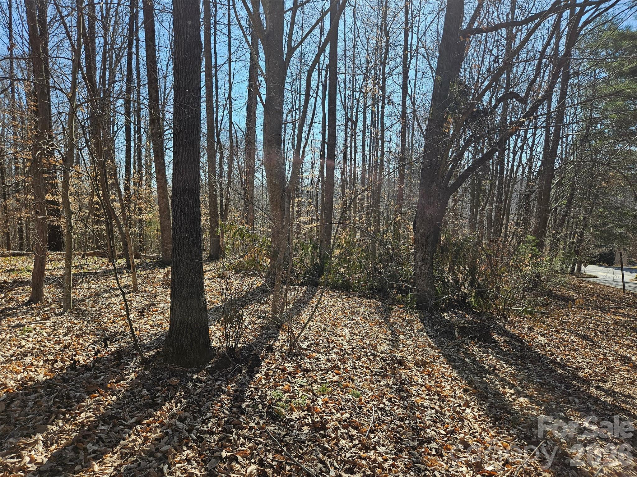 0 General Griffith Circle, Unit 37 Rutherfordton, NC 28139 - Photo 3 of 8 a view of a yard with trees