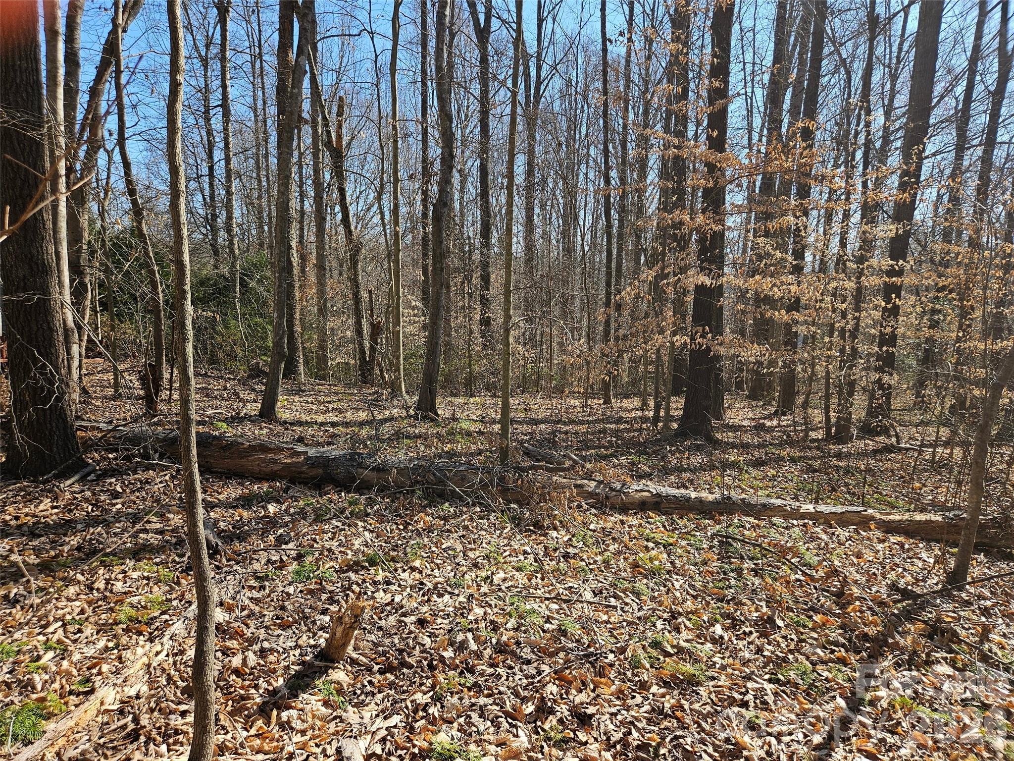 0 General Griffith Circle, Unit 37 Rutherfordton, NC 28139 - Photo 5 of 8 a view of a backyard with trees